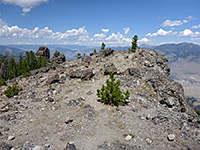 The summit