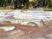 Shield Geyser