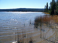 Shoshone Lake