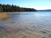 Shoshone Lake - west