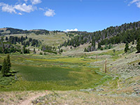 Meadow west of Snow Pass