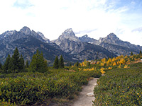 Trail to Taggart Lake