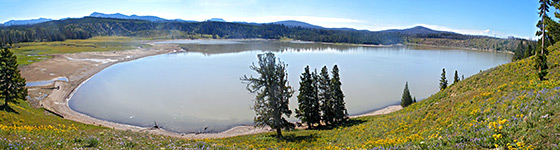 Turbid Lake