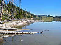 West edge of Turbid Lake