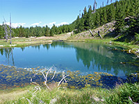 Big, greenish pool