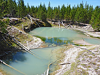 Cloudy, greenish pools