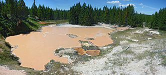 Large, brownish pool