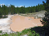 Orange-brown pool