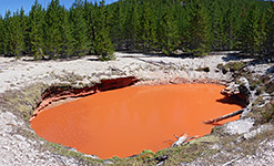 Tomato Soup Pool