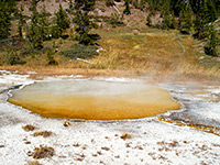 Shallow orange pool