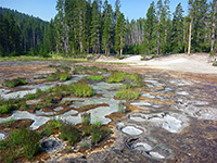 Solfatara Creek