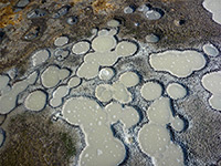 Grey mud pots