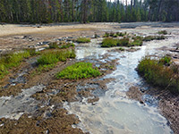 Northern section of Whiterock Springs