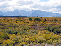 Willow Flats Overlook