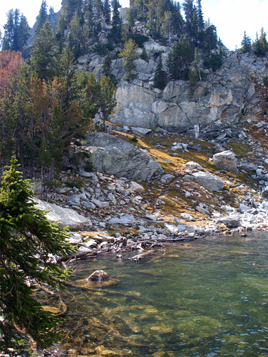 Trees and boulders beside Amphitheater Lake