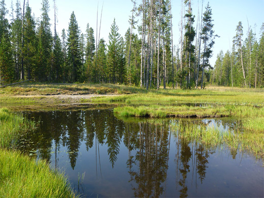 Bartlett Slough