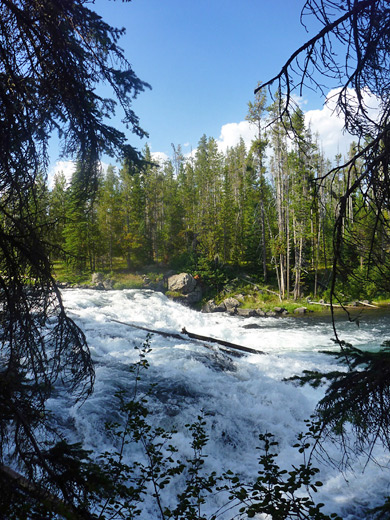 Gap in the forest opposite Bechler Falls