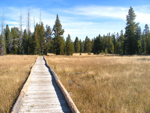 Boardwalk over the meadows