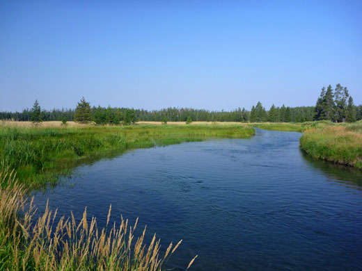 Calm waters of Boundary Creek