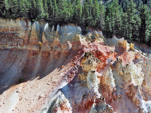 Trees and cliffs