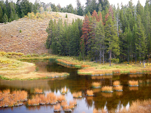 Grand Teton National Park