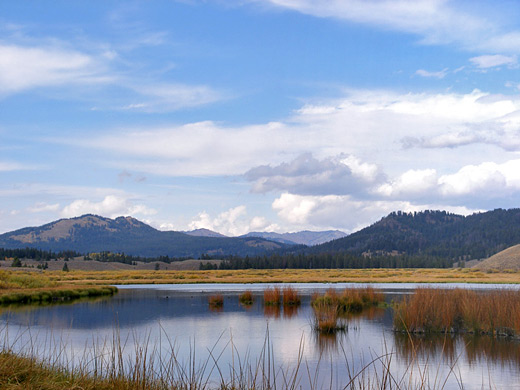 Christian Pond, near Jackson Lake Lodge