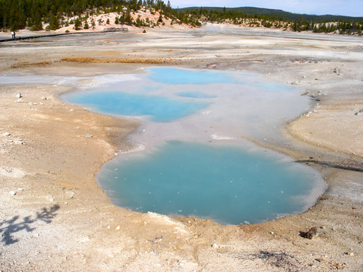 Colloidal Pool in Norris Geyser Basin