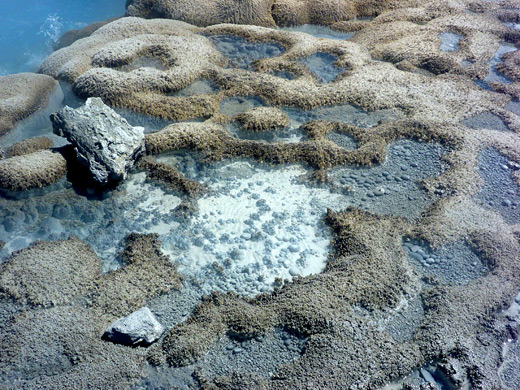 Crater Hills Geyser