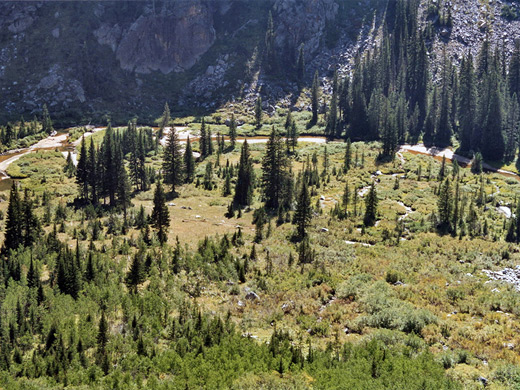 Stream and marshy area