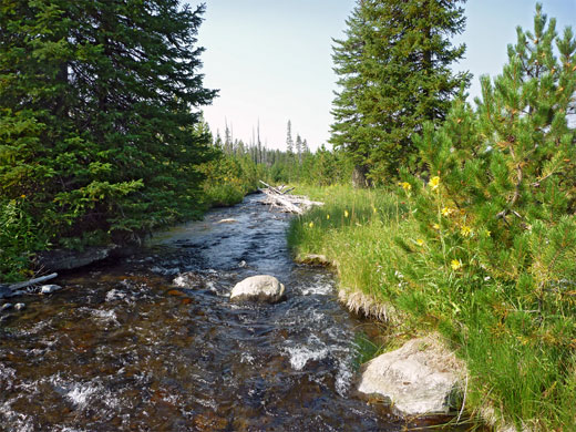 Small stream, a tributary of Boundary Creek