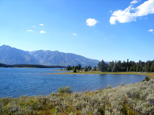 Sagebrush by Jackson Lake