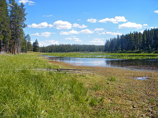 Grassy banks at the south end of Heron Pond