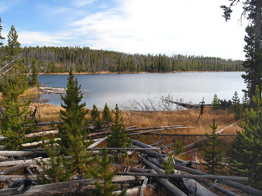 South shore of Ice Lake