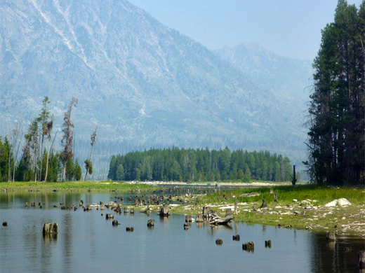 Islands at the edge of Jackson Lake