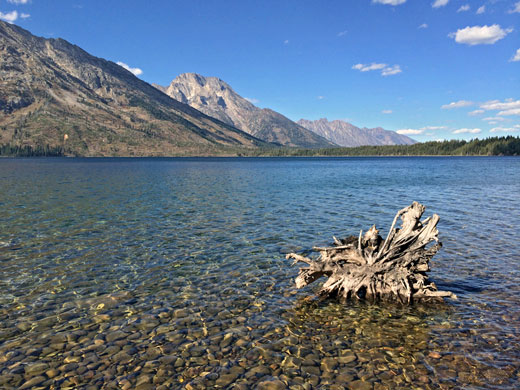 Jenny Lake