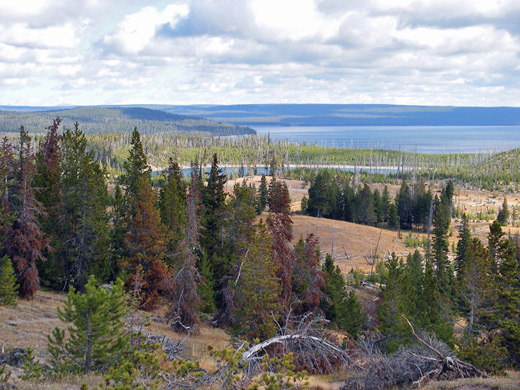 Yellowstone Lake and Duck Lake