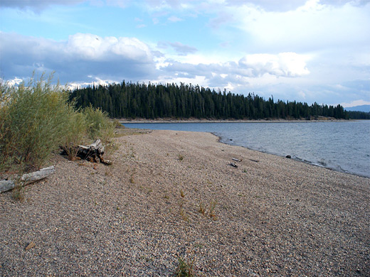 Stony beach along the Lakeshore Trail