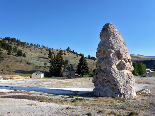 Liberty Cap
