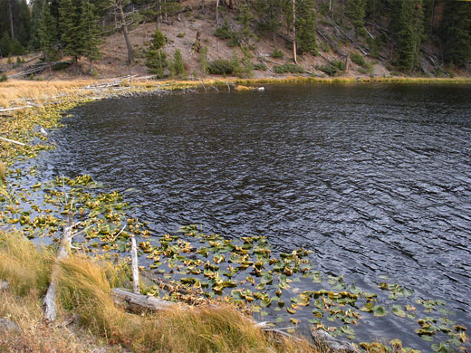 East end of Lost Lake