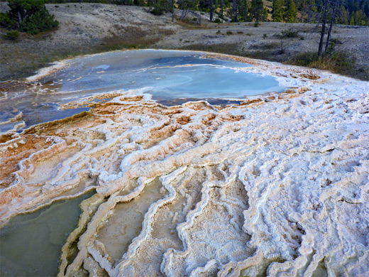 Minerva Terrace - in the Lower Mammoth Terraces