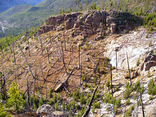 Rocks and burnt trees