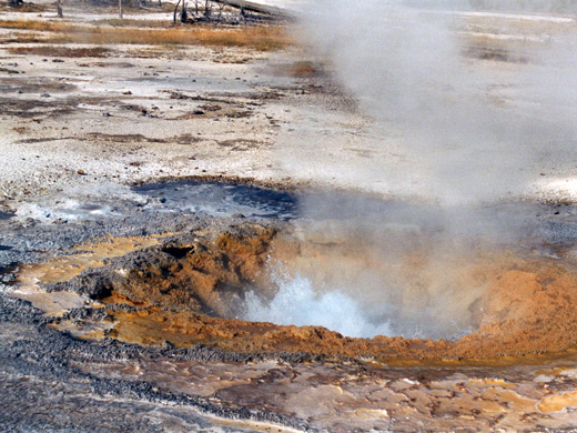 Mustard Spring in Biscuit Basin