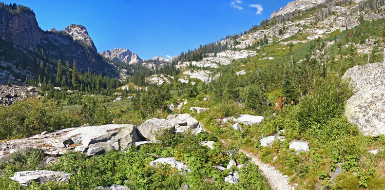 Trail in the middle of Paintbrush Canyon