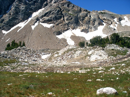 Alpine meadow near the upper end of Paintbrush Canyon