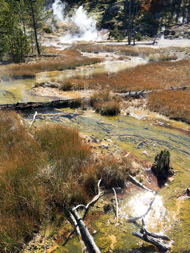 Shallow stream flowing from the thermal area