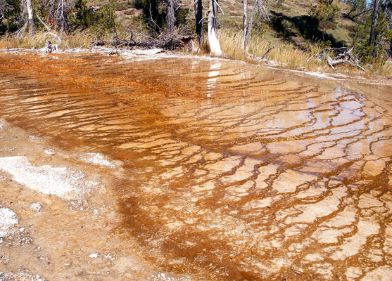 Red terraces