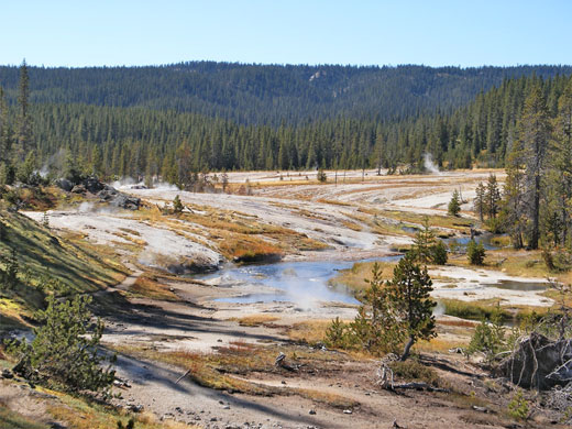 The basin