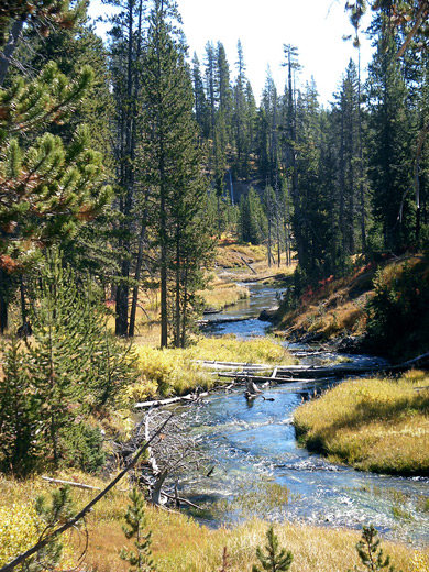 Shoshone Creek