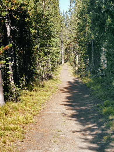 Straight path, north of Grants Pass