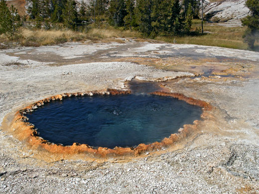 Taurus Spring